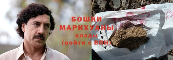 СК Богородск