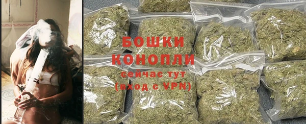 СК Богородск