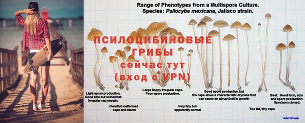меф Верхний Тагил